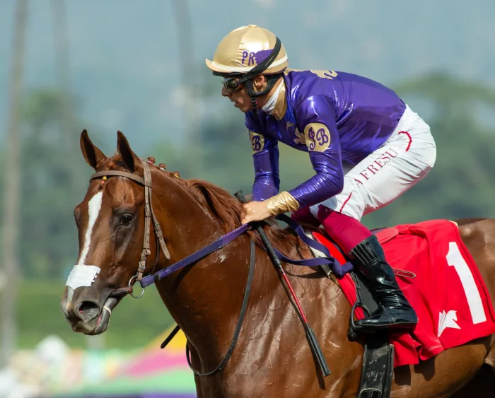 Acknowledgemeplz racing at Santa Anita