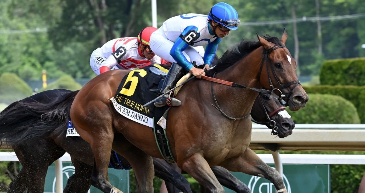 Champion Book'em Danno Back to His Best in True North - Ironhorse Stallions News