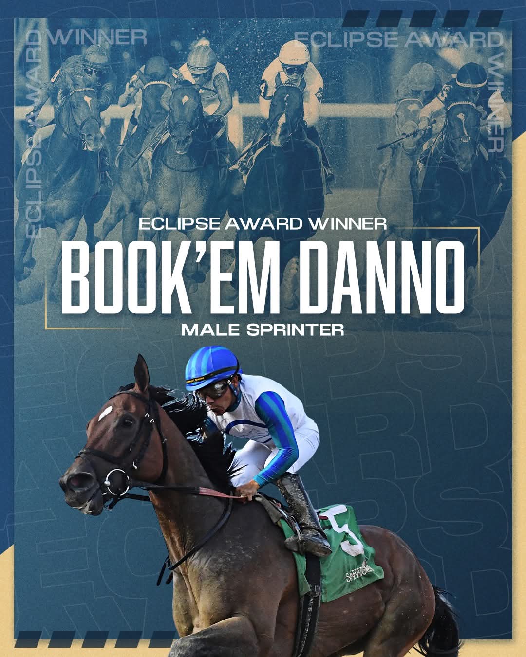 Book'em Danno - 2025 Eclipse Award Winner