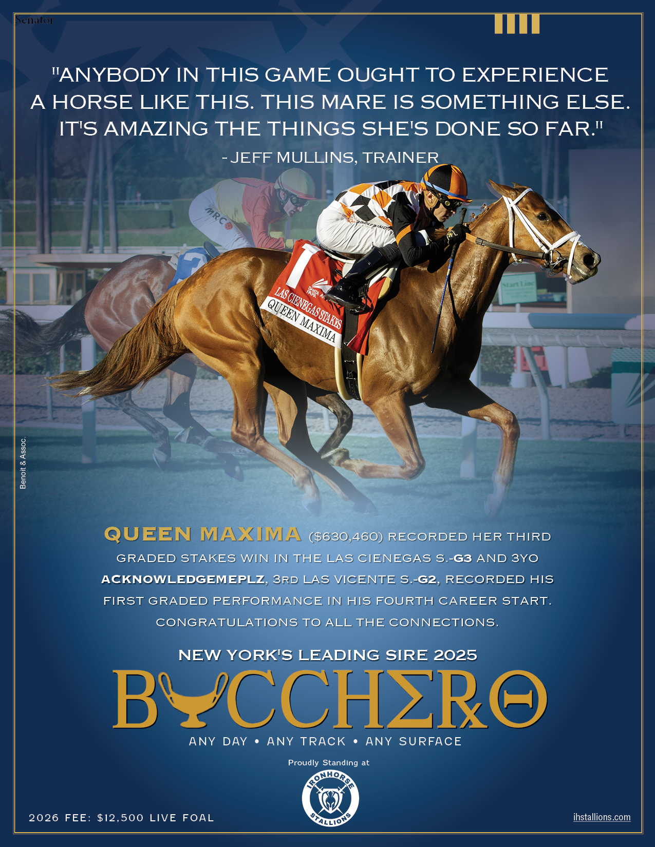 Queen Maxima - Las Cienegas Victory