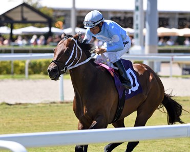 Mattingly Wins the Bob Umphrey Turf Sprint at Gulfstream Park - Ironhorse Stallions News