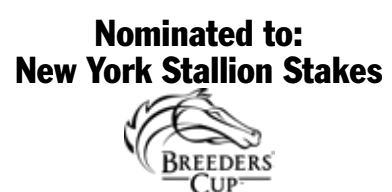 Nominated to New York Stallion Stakes