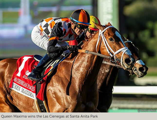 QUEEN MAXIMA GETS THE JOB DONE IN LAS CIENEGAS - Ironhorse Stallions News