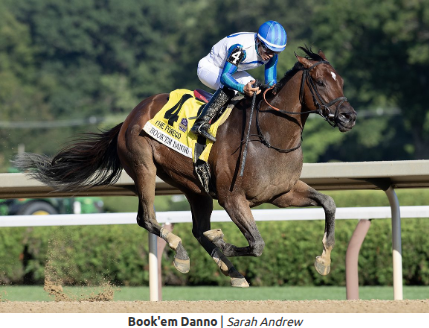 Watch the Forego Stakes (G1)