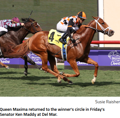 Queen Maxima Overcomes Trouble to Take Senator Ken Maddy Stakes - Ironhorse Stallions News